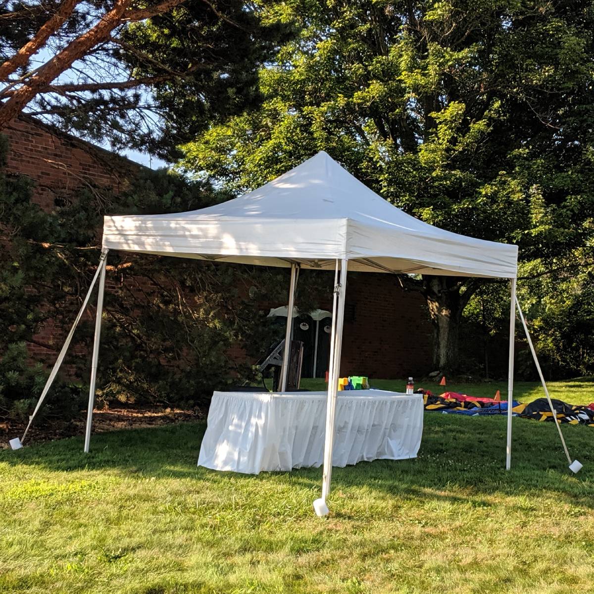 10' Wide Canopies